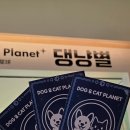 별빛동물병원 | [안덕] 어린이 체험형 테마파크 - 제주 실내 체험 ‘댕냥별’ 이용 정보 정리