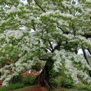 창의적 사고와 논리적 사고의 융합 이미지