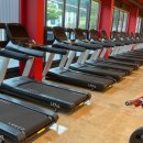 레드플렉스 짐 이미지