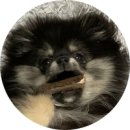 남면농협 청포대 하나로마트 이미지