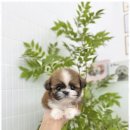 아이똑똑동탄 이미지