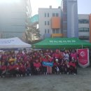 장골로가로수 | 영진과에 우연이 인연으로(영진 사이버대학 한마음 체육대회)