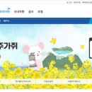 하얀풍차투어