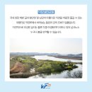 자연하모니 네이버블로그