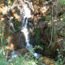 장호초교 이미지