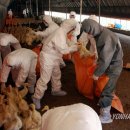 김재선농장 이미지