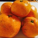 행복이불 이미지