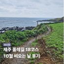 제주와서 | 제주 올레길 18코스 준비물 가을 비오는 날 후기