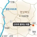 [경북의성]산수유 꽃피는 마을 이미지