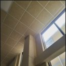 팔탄면사무소 게이트볼장 이미지