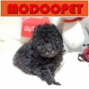 모두와샵 이미지