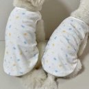 러블리 댕댕 이미지