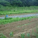 단수농장 이미지