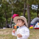 다대포해수욕장-낙조분수 이미지