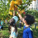 수원-1382 이미지