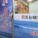 회뜨는돼지 | [내돈내산] 병점 회 가성비 맛집/병점횟집 '회뜨는돼지' 모듬회 솔직후기
