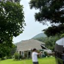 바다가 그리운 나무 이미지