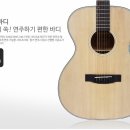 210111 | 덱스터 기타 d7 om 출고 후기 210111