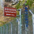 용대자연휴양림캠핑장 | [강원도 속초여행 인제여행] 용대자연휴양림 야영장 캠핑장 숲속의집 : 깨끗한 설악산 공기와 맑은 계곡...