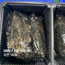 싱싱한 대 갑오징어 /손질아귀 /횟감준치/ 황석어(깡다리)/백조기/홍어무침살 이미지