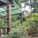 도리재농장 이미지