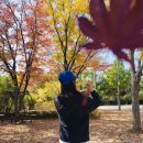 세븐일레븐 인왕산파크점 | [인왕산] 왕복 1시간 컷! 등린이 입문산으로 추천 (+단풍 모습, 주차, 가는 방법)