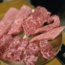 새코끼리약국