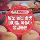 성일농원 이미지