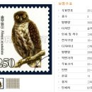340-5-000002 네이버블로그