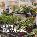 헬로우마켓 | 봄맞이 식물 쇼핑 헬로우가든마켓 방문 구매 후기
