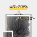 끌레오헤어비스