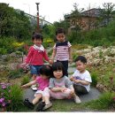 들놀이공원 이미지