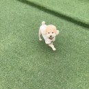 멍테소리 이미지