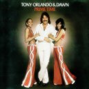 The Old Oak 이미지