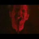 Massive Attack - Future Proof (Live Fuji Rock Festival) 이미지