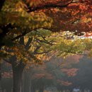 제물포여자중학교 이미지