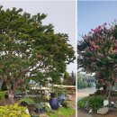 서산기쁨농장 이미지