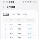 코끼리샐러드