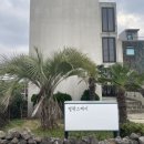 씨유제주한림한수점 | [제주-한림읍] 욕조 있는 제주감성펜션 '멀왓스테이' 1박 후기