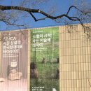서울부산물 - 강릉시 중앙시장1길 16-1 | 국립현대미술관 서울 • 소멸의 시학 : 삭는 미술에 대하여 / 서울 전시 추천 • 관람 후기 • 데이트 추천