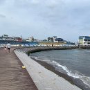 삼양해수욕장 이미지