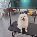 류종삼한의원 이미지