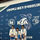 용인대 태비태권도장 이미지