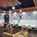 로던트클럽 화정 본점 이미지