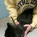 미시간호텔 이미지