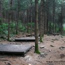 베스트캠핑장 이미지