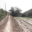 평사농장 이미지