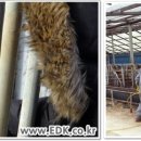 병은우사 이미지