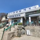 원조중앙탑막국수 - 충주시 중원대로 3018 | 원조중앙탑막국수