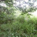 구산면580 이미지